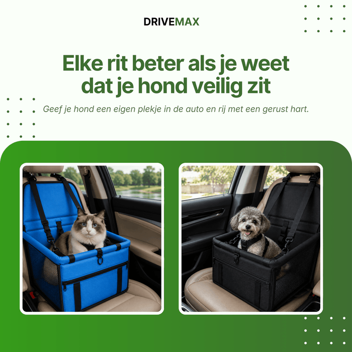 Dein Hund reist entspannt.