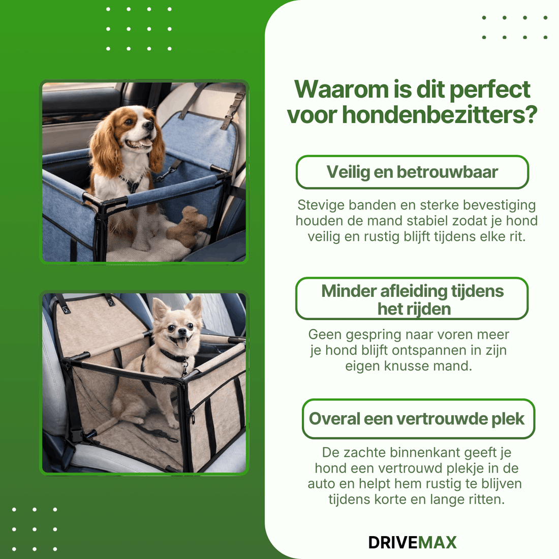 Hundekorb für das Auto auf dem Rücksitz mit Hunden, die bequem im Sitzkorb sitzen.