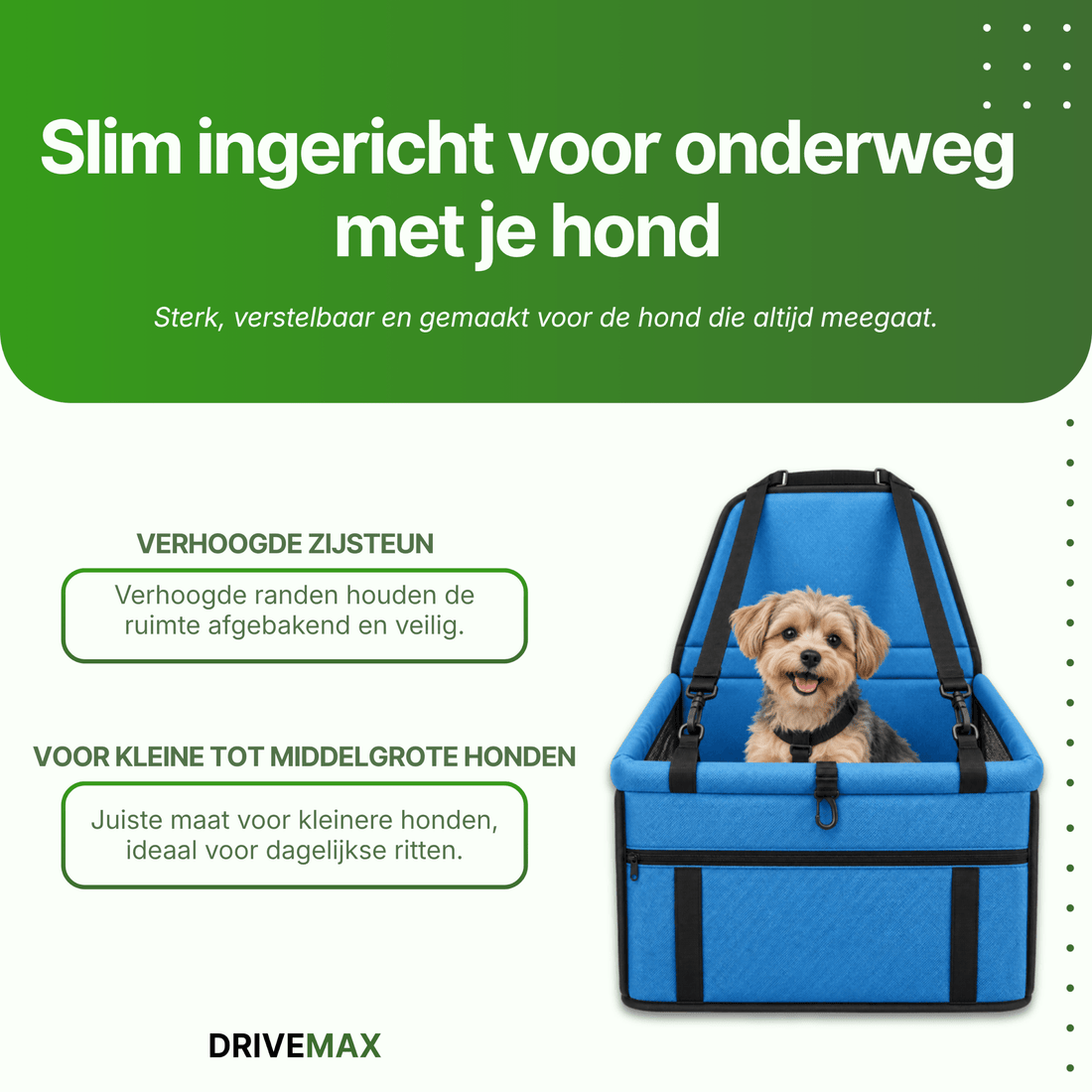Kleiner Hund ruhig in einem Hundekorb im Auto auf Reisen
